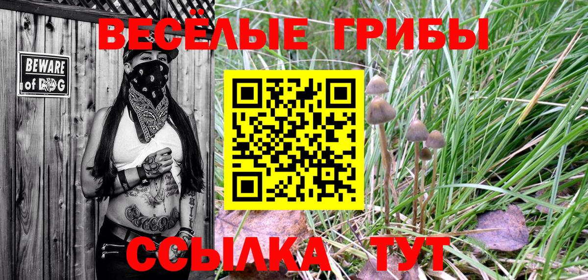 Ахтубинск  Галлюциногенные грибы Magic Shrooms  магазин    Вход с VPN 